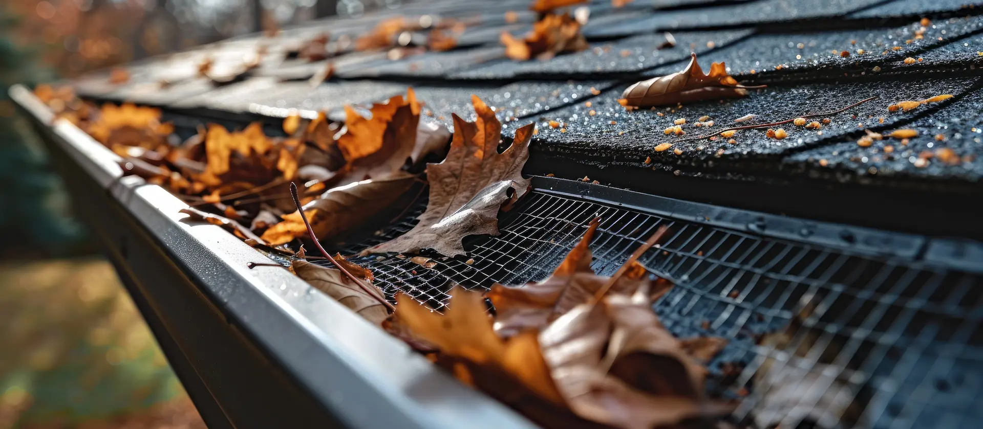 gutter filled with leaves