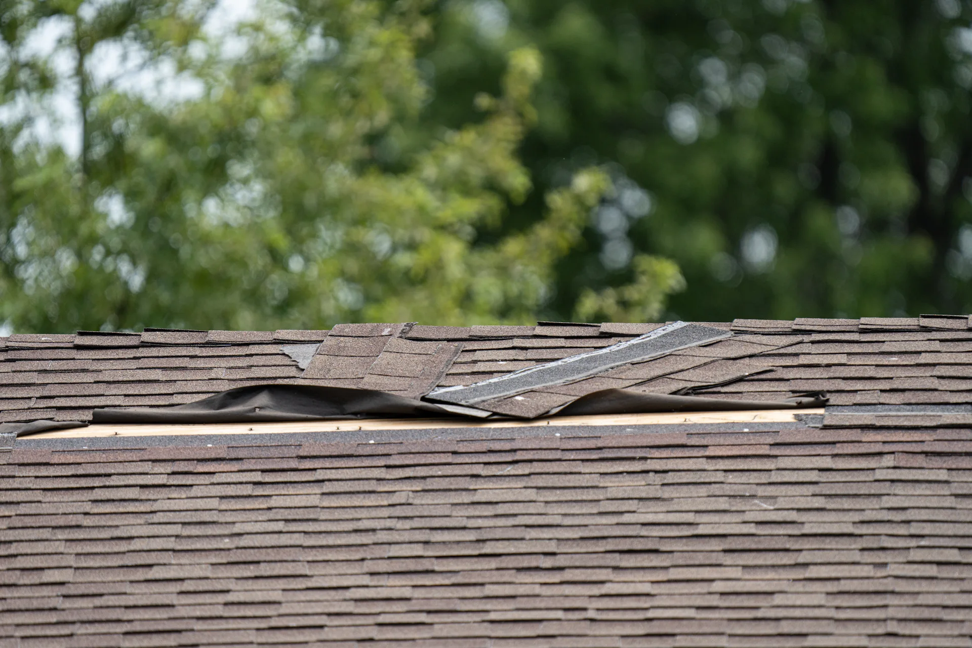 view of a newly fitted roof