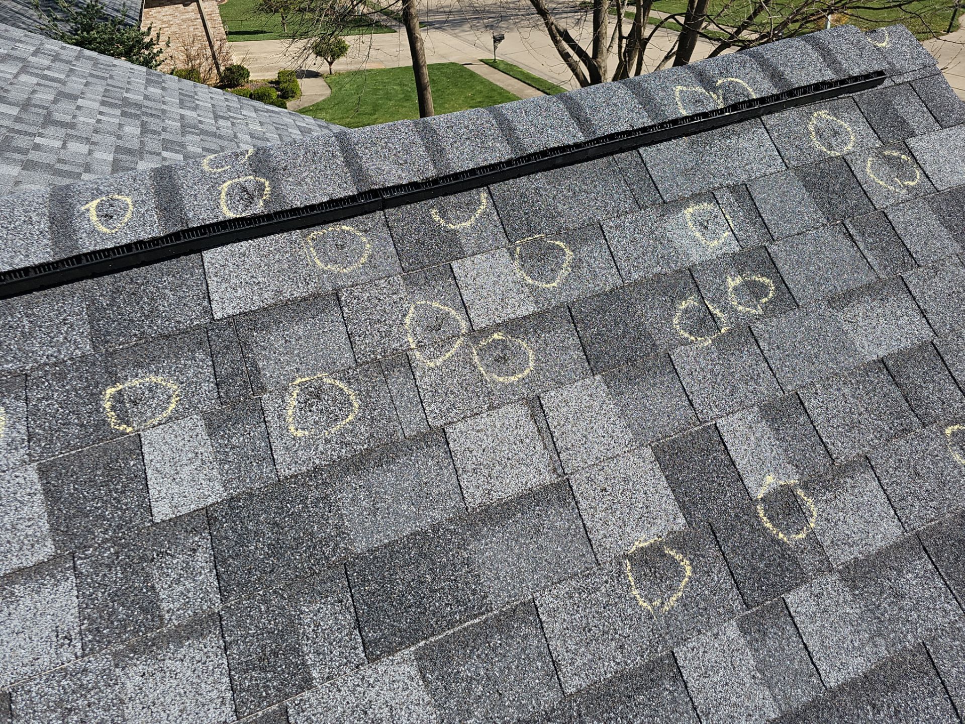 hail damaged circled on roof